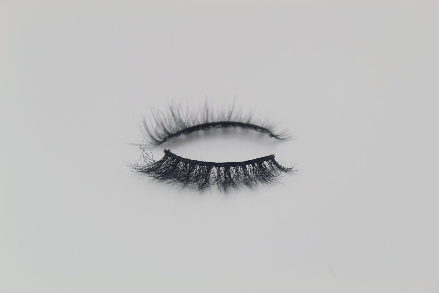 Paloma